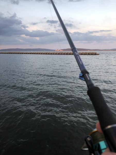 まだまだ黒鯛狙い