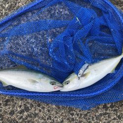 トリプルツバスのはずが