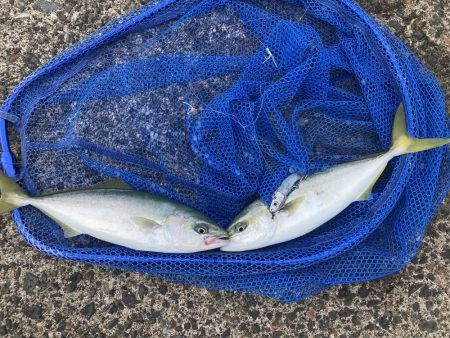 トリプルツバスのはずが