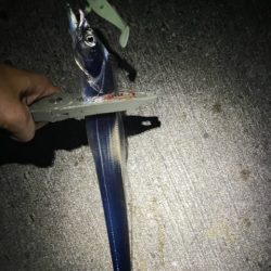 サイズアップしてます