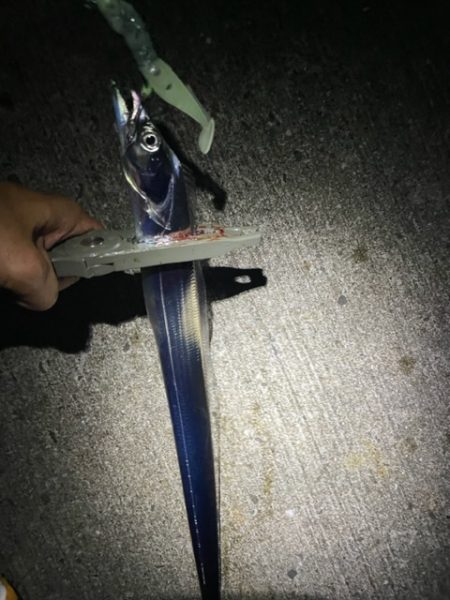 サイズアップしてます