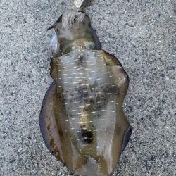 2023 佐渡ヶ島エギング 15回目【9月22日】