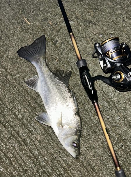 雨が降ったら出撃!