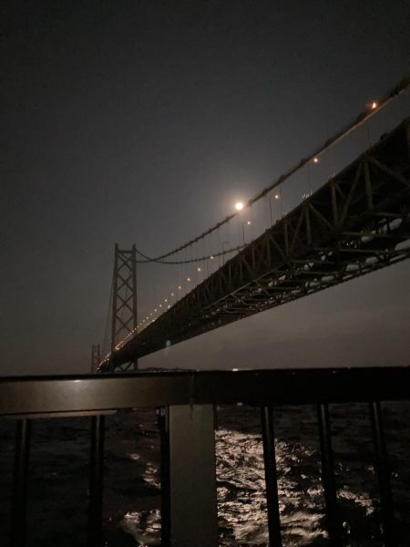 今年初タチウオ