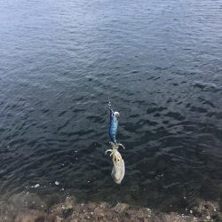 エギング　佐渡遠征②1日目