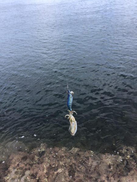 エギング　佐渡遠征②1日目