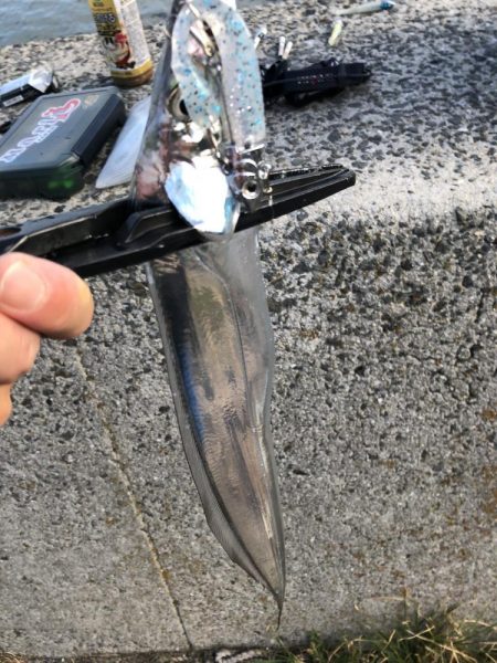 久々の投稿です