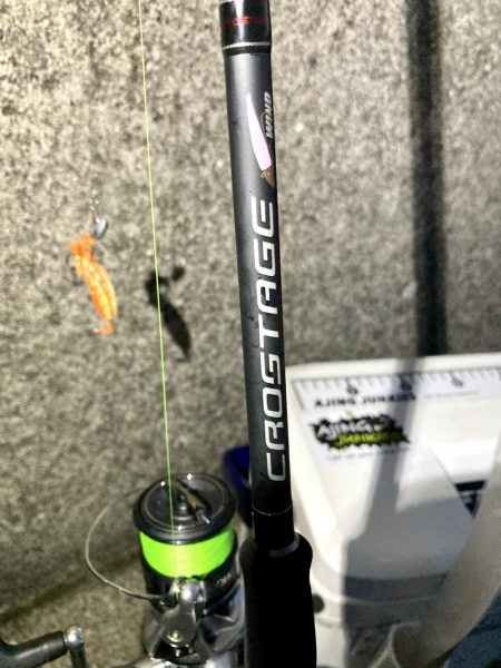 カサゴ釣りイベント1