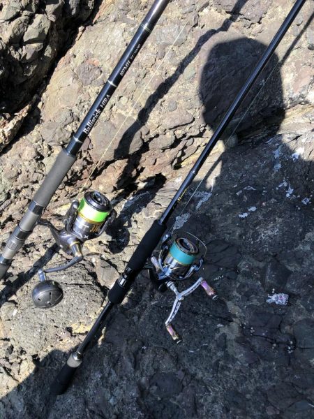 新子調査　シオ調査