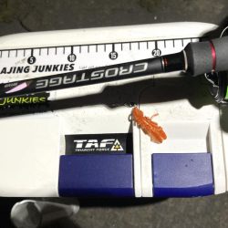 カサゴ釣りイベント2