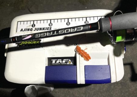 カサゴ釣りイベント2