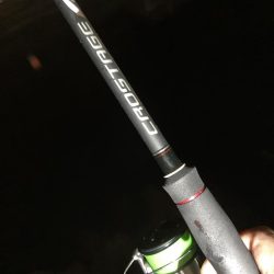 カサゴ釣りイベント4（更新ならず）