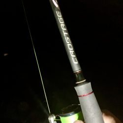 カサゴ釣りイベント6(記録更新)