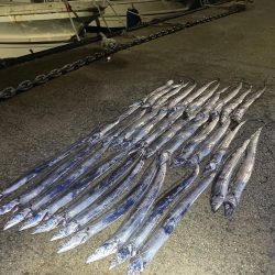 ★★大爆釣入れ食い状態★★