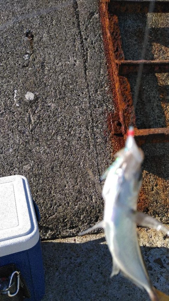 始まってなかった、、、