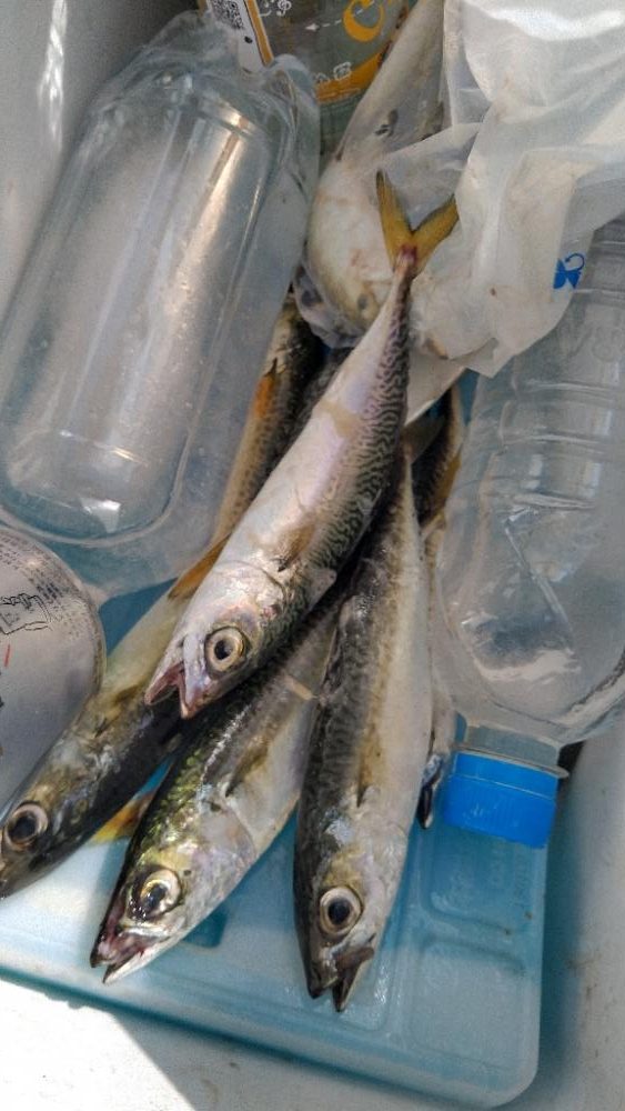 嫌気がさします。