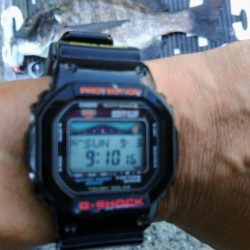 ぷら岸壁調査！！