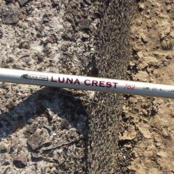 アジングで釣れました