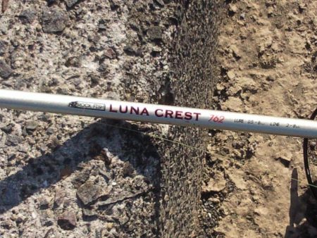 アジングで釣れました