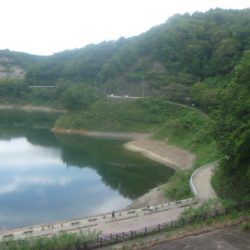 ナマズ狙いのはずが