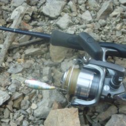 シャッドでバス釣り