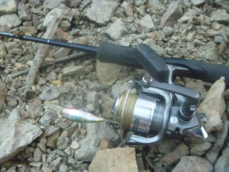 シャッドでバス釣り