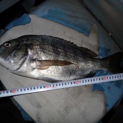 あと一歩で歳なし