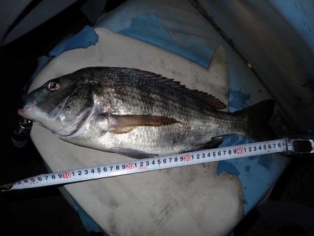 あと一歩で歳なし