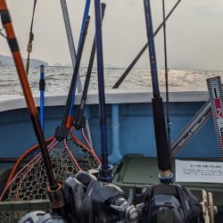 メジロ祭り(サウス)前半