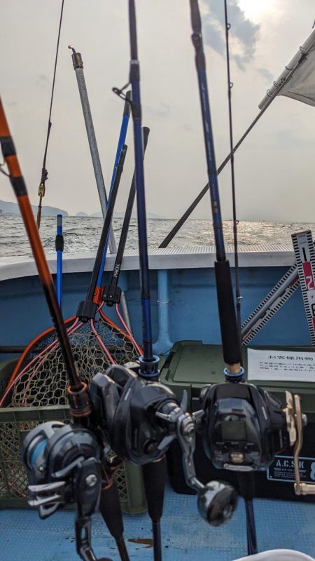 メジロ祭り(サウス)前半