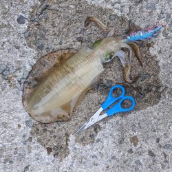 血と汗と墨(後半戦)