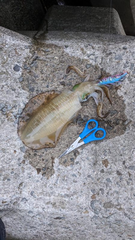 血と汗と墨(後半戦)