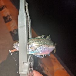 レベルアップ？