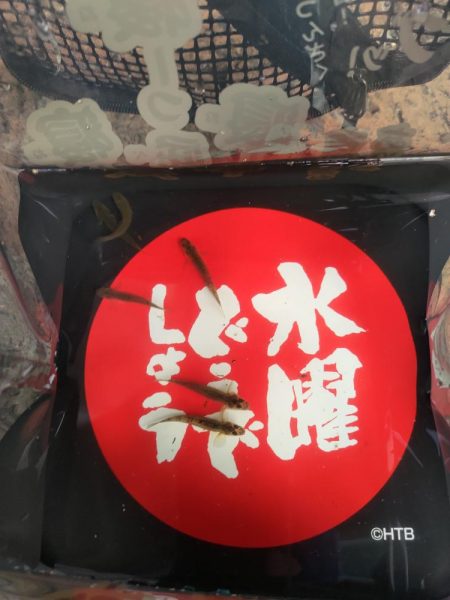 旧中川　大規模な酸欠でハゼ釣り終了のお知らせ