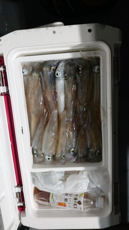 初のイカメタル