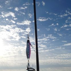 タチウオ✕シオ○