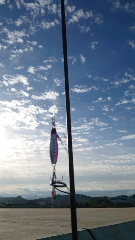 タチウオ✕シオ○