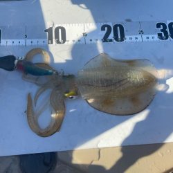 2023 佐渡ヶ島カヤックエギング 4回目【9月3日】