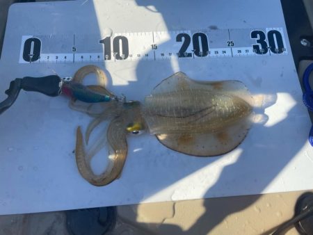 2023 佐渡ヶ島カヤックエギング 4回目【9月3日】