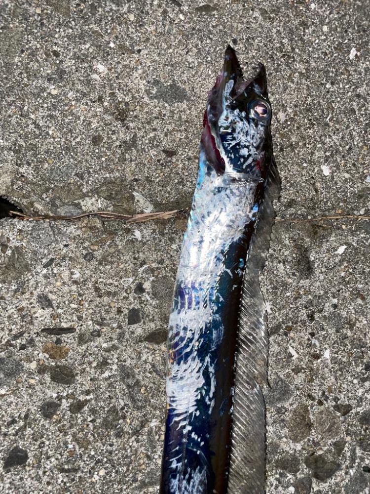 数を伸ばすために今後の課題。