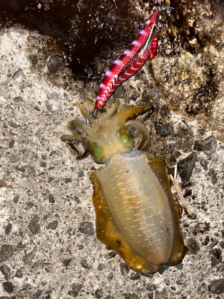 仕事終わり至福！