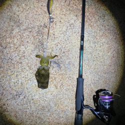 雨風で時化たエギング