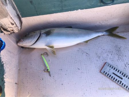 伊島沖ジギング　橘湾ティップラン