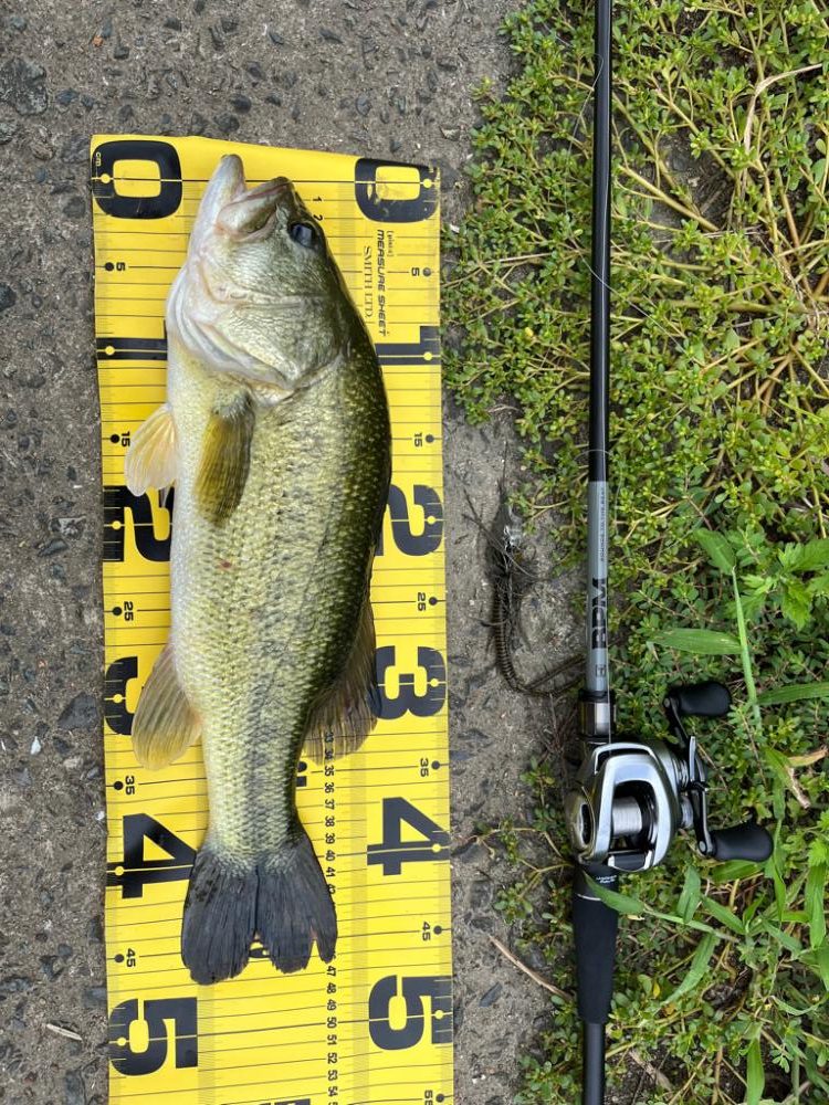 遠賀川水系バス釣り
