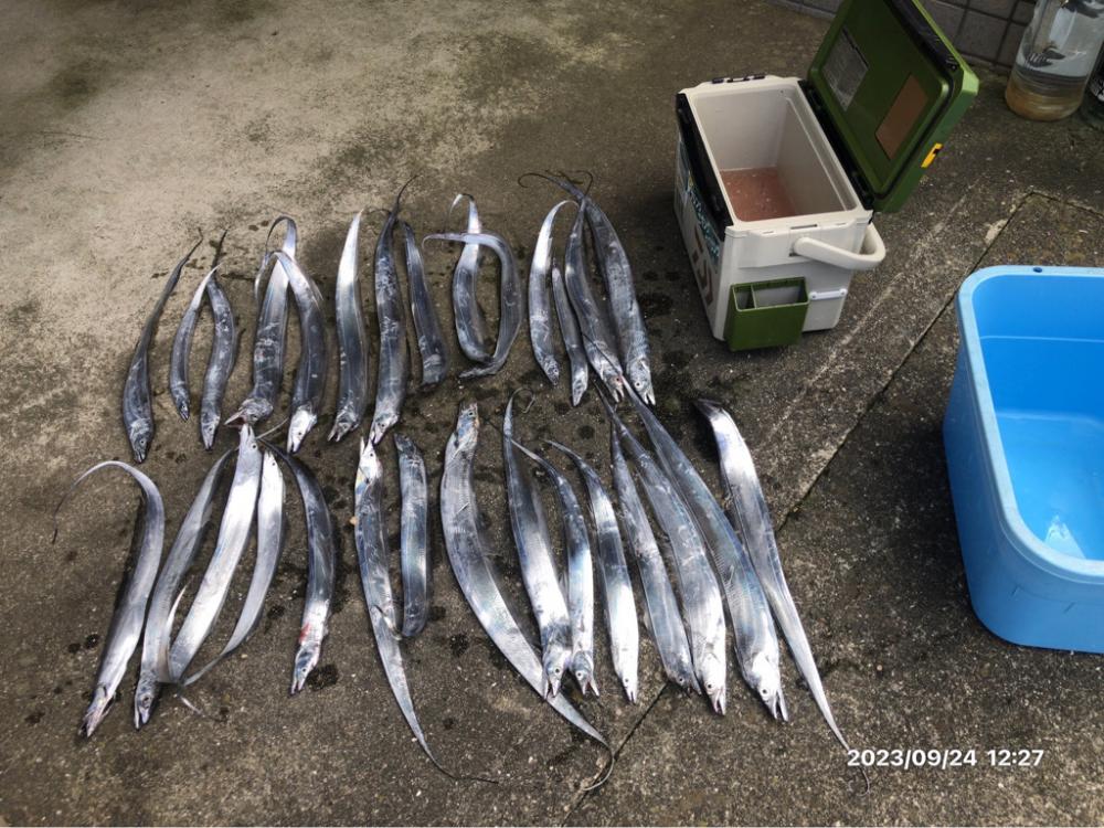 9/24 鳴門ジギング&ティップラン