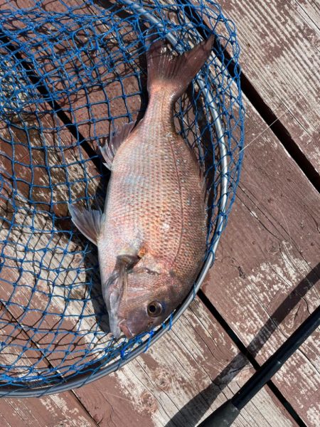 じゃのひれフィッシングパーク