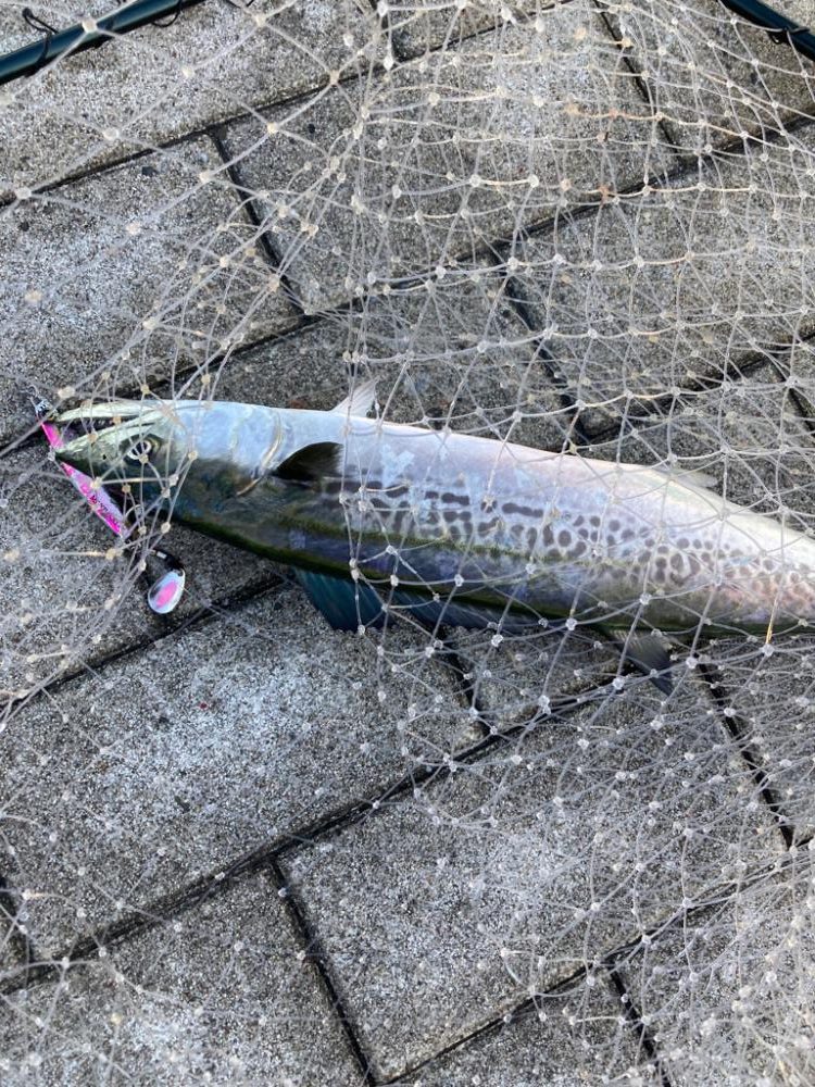 ⭐️ハットトリック