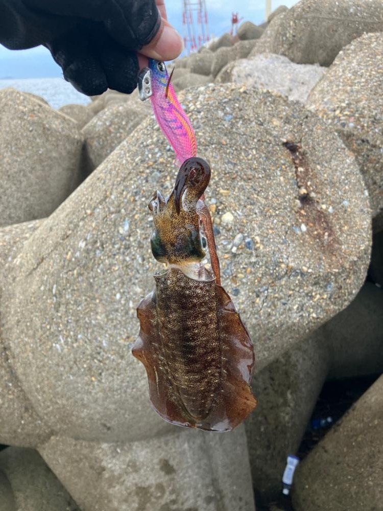 デイエギング(^.^)