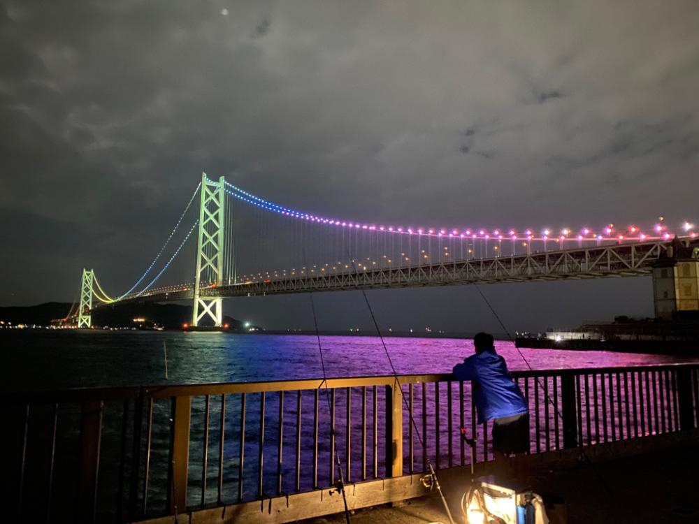 今日はサバの日？