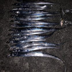 今シーズン初タチ！